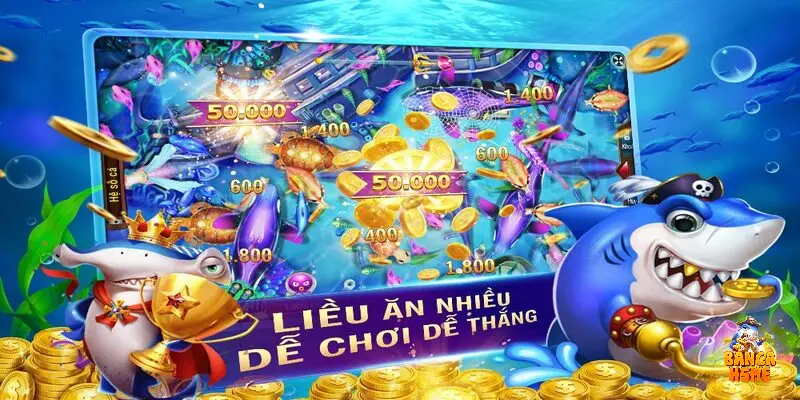 3 chú ý quan trọng khi bắt đầu chơi bắn cá tại Bingo